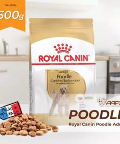 Thức ăn Royal Canin Poodle Aldut 500G